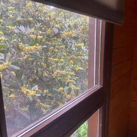 Apartamentos El Bosquet Sant Cugat del Vallès Esterno foto